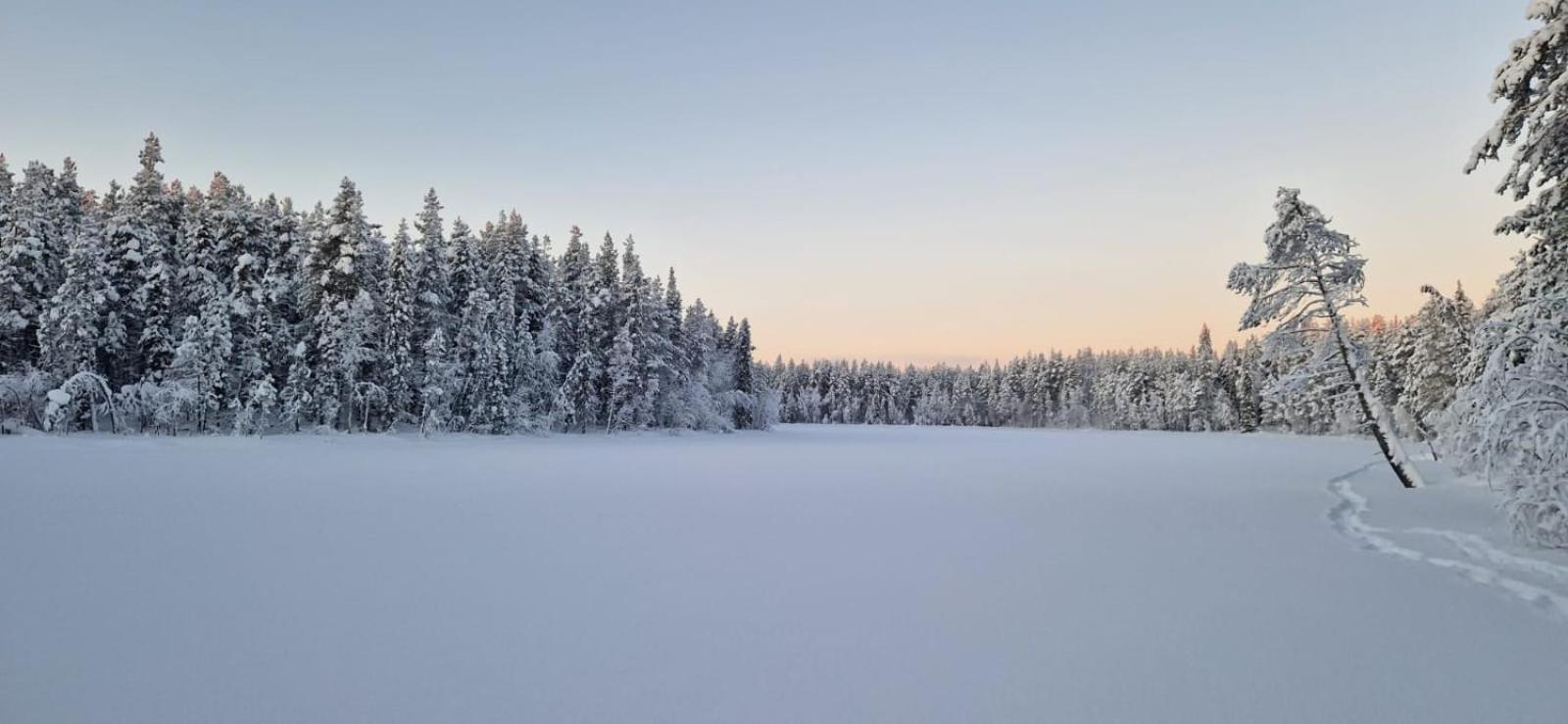 ホテル Lapland Old School ムオニオ エクステリア 写真